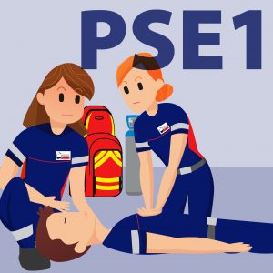 UDPS 64 Pyrénées Atlantique secourisme sauvetage PSE 1 - Premier Secours en Equipe niveau 1