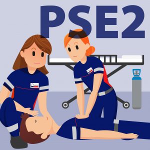 UDPS 64 Pyrénées Atlantique secourisme sauvetage PSE 2 - Premier Secours en Equipe niveau 2
